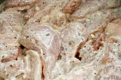 Шашлык из мяса птицы в майонезе (вес) НМП